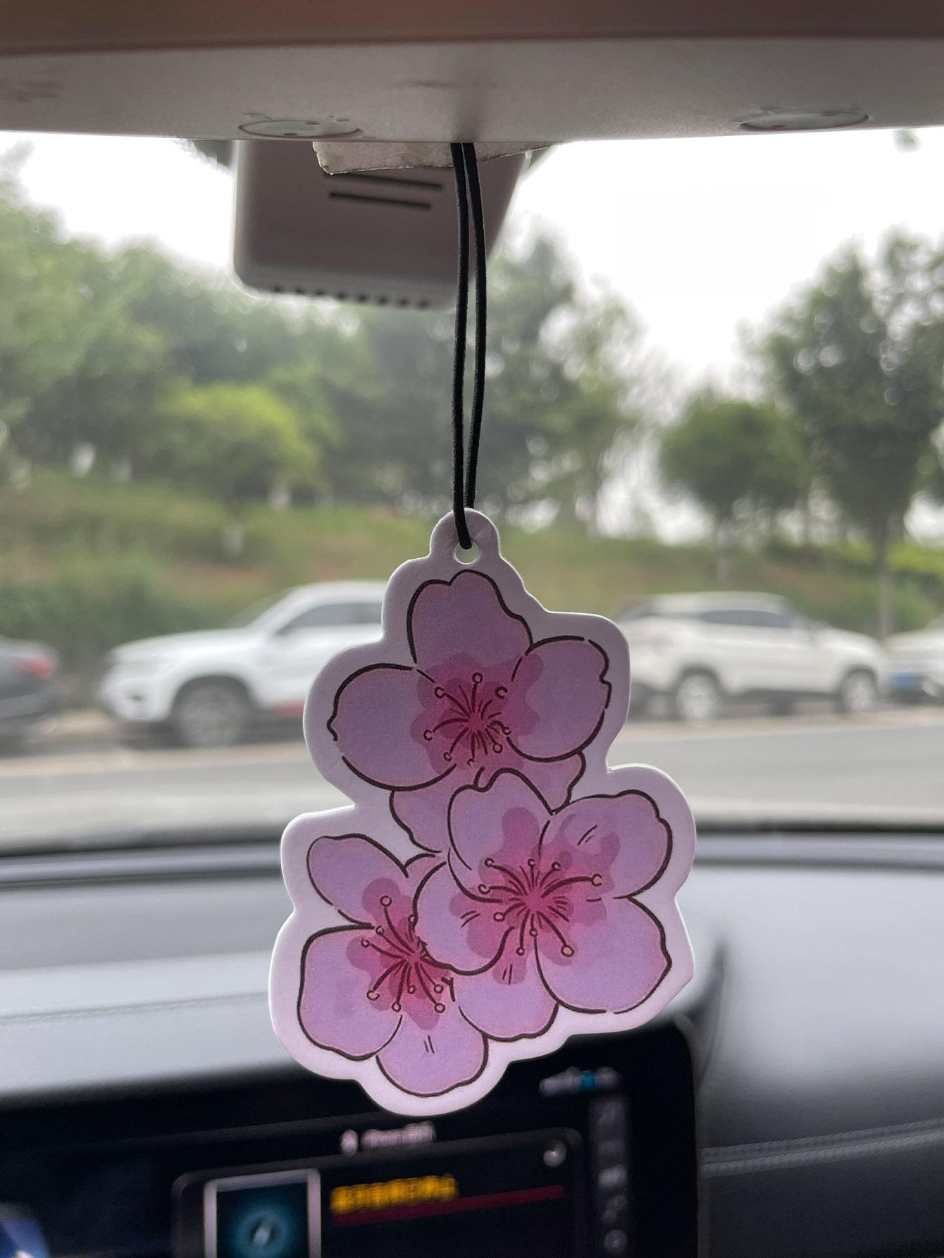 น้ำหอมปรับอากาศในรถยนต์กลิ่นซา - Home Fragrance Non Toxic บทวิจารณ์และราคา